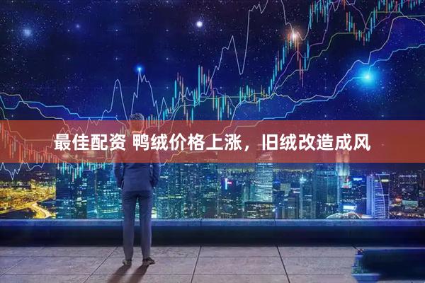 最佳配资 鸭绒价格上涨，旧绒改造成风