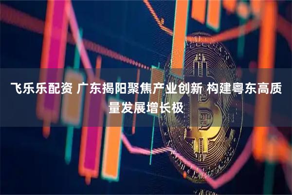 飞乐乐配资 广东揭阳聚焦产业创新 构建粤东高质量发展增长极