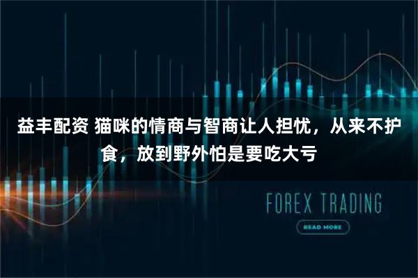 益丰配资 猫咪的情商与智商让人担忧，从来不护食，放到野外怕是要吃大亏
